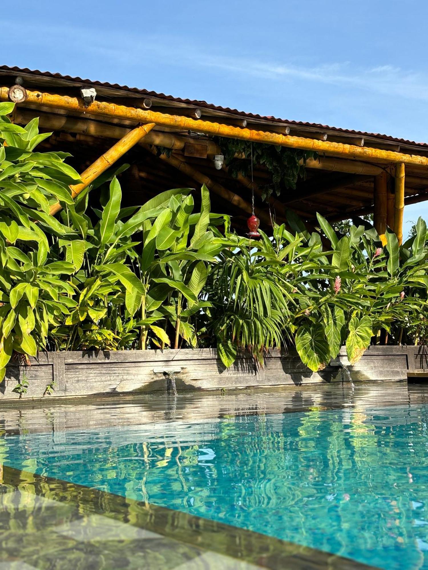 La Veranda Hotel & Restaurant Minca Εξωτερικό φωτογραφία